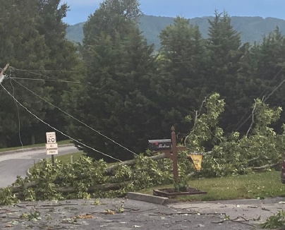 A large fallen tree branch is laying across a residential road, taking down a power line. There is a speed limit sign and a mailbox in the foreground surrounded by leaves and debris.